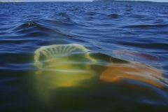 Sink: Zwei Stühle im Wasser