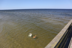 Sink: Zwei Stühle im Wasser