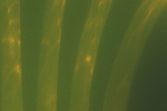 Sink: Zwei Stühle im Wasser