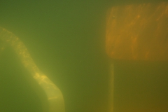 Sink: Zwei Stühle im Wasser